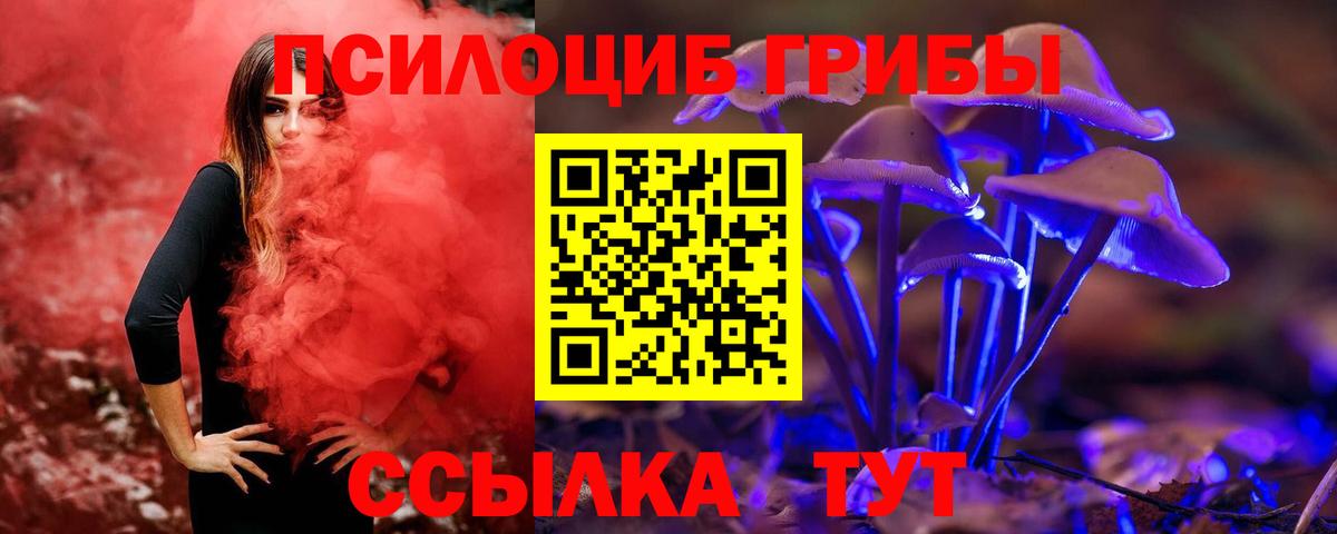 Псилоцибиновые грибы мухоморы  Вход с VPN  Нурлат  цены   Псилоцибиновые грибы Cubensis 